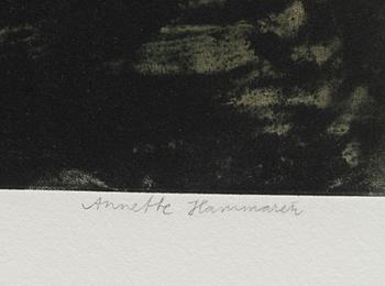 Annette Hammarén, "Kvällsljus".