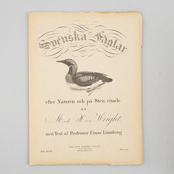 Bröderna von Wright, planschverk samt bok, "Svenska Fåglar", Ivar Baarsens förlag, Stockholm 1924-27.