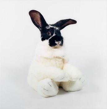 313. Nathalia Edenmont, "Toy-Boy", 2004.