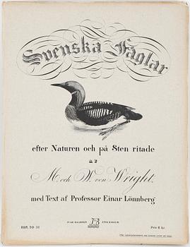 LITOGRAFIER, 12 stycken, ur "Svenska fåglar", Magnus och Wilhelm von Wright, A Börtzells, 1900-talets första hälft.