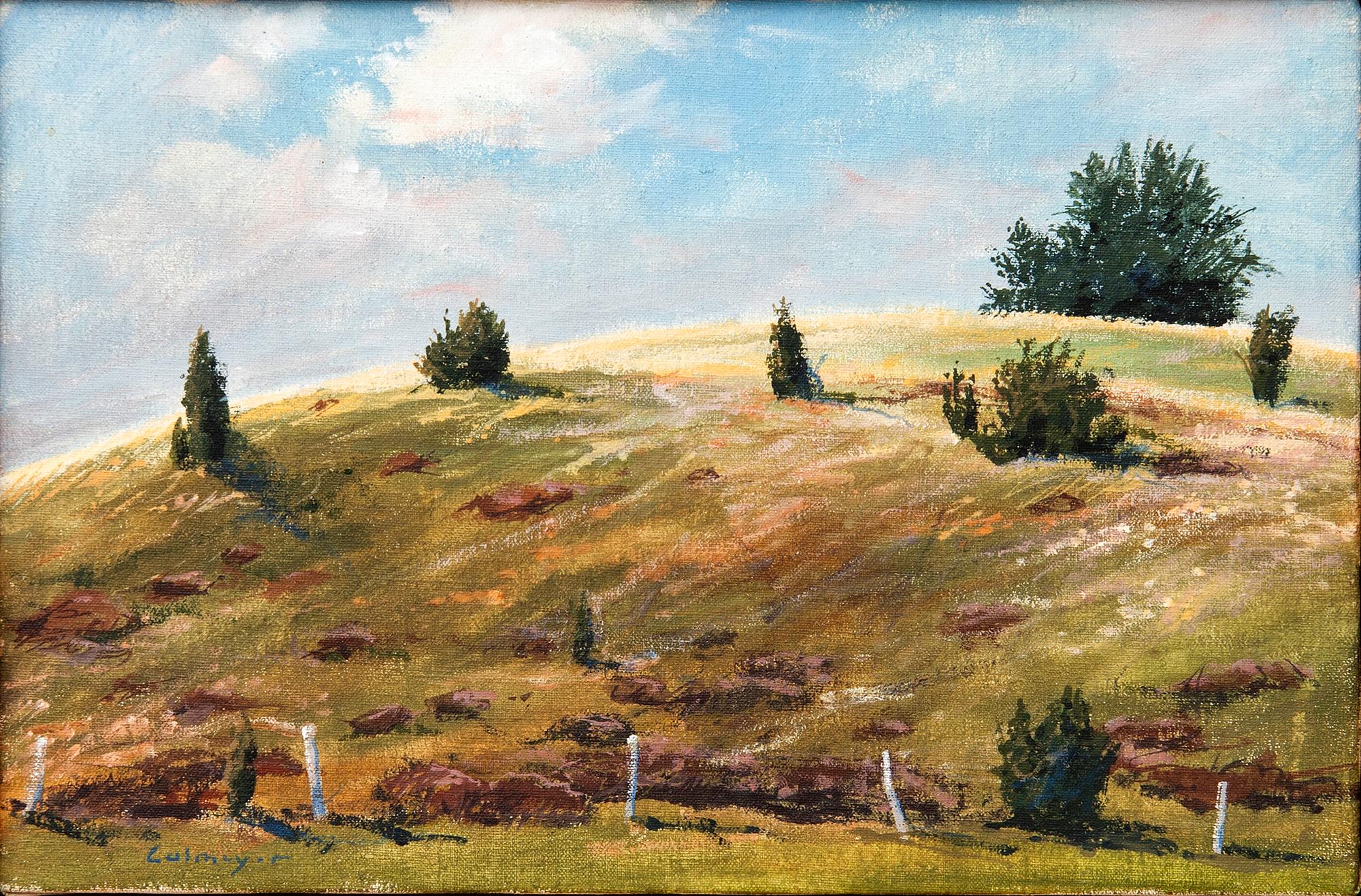 Gösta Calmeyer, Motif from Österlen.