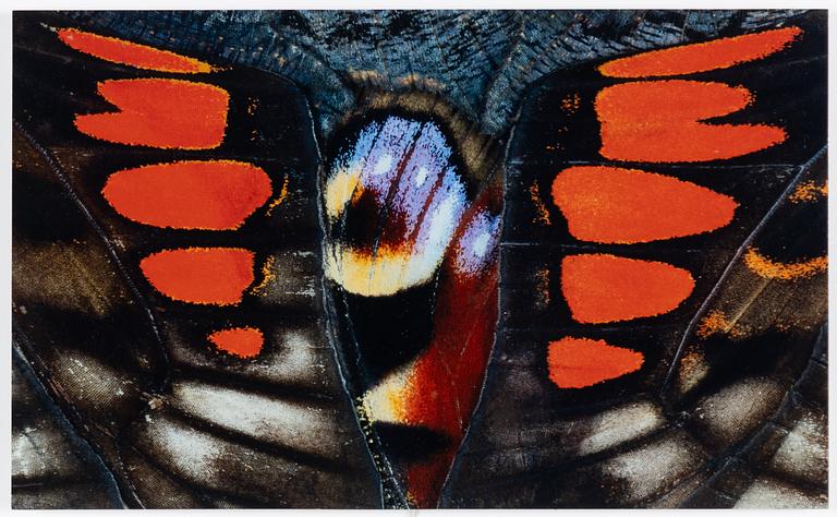 Nathalia Edenmont, "Spirit".
