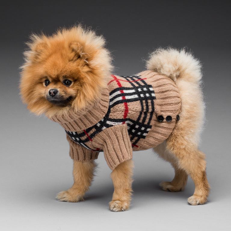 HUNDJACKOR, 2 stycken, Moncler samt Burberry.