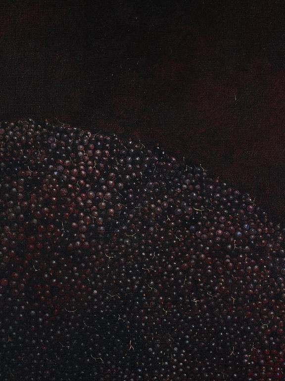 Philip von Schantz, Black currant.