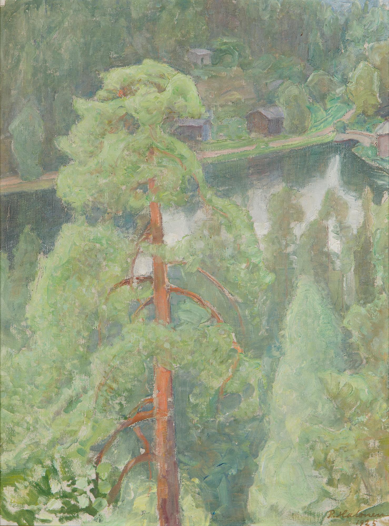 Pekka Halonen, Näkymä Kotajärveltä.