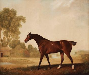 234. George Stubbs, "Eagle, a bay racehorse".