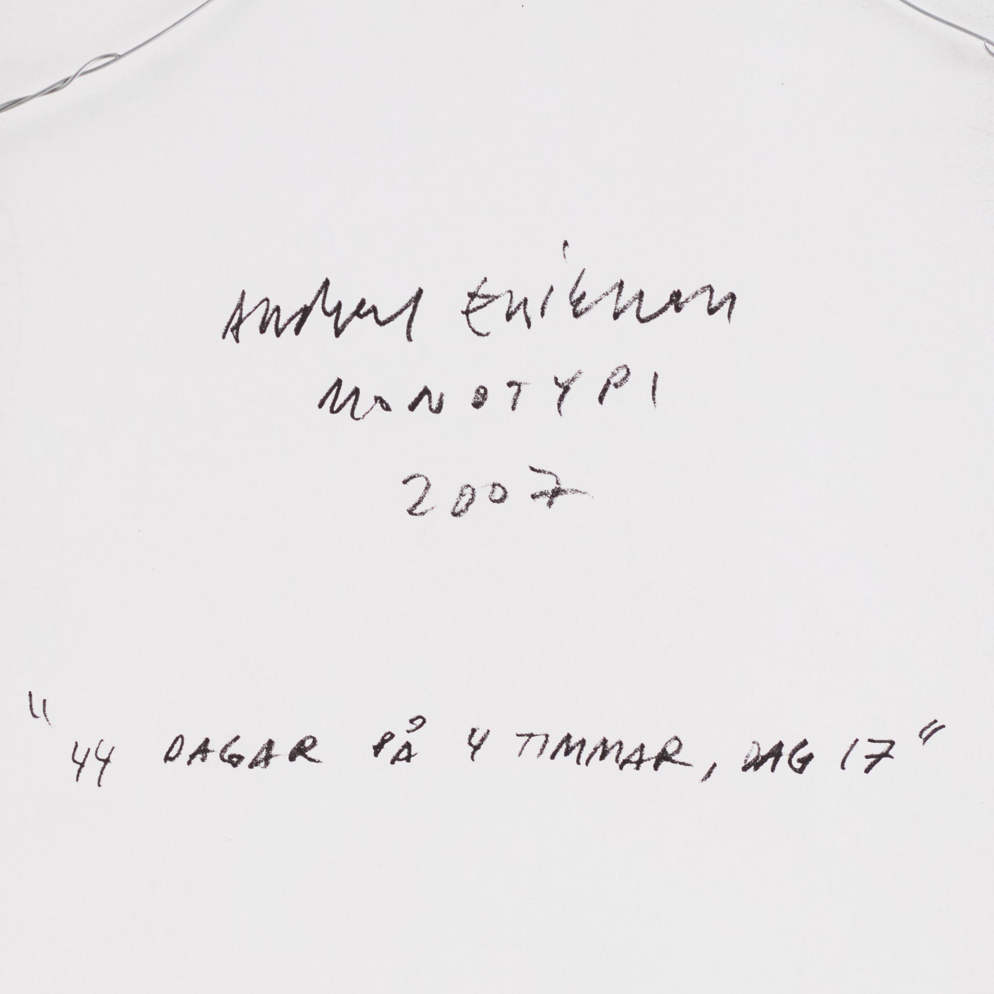 Andreas Eriksson, "44 dagar på 4 timmar, dag 17".