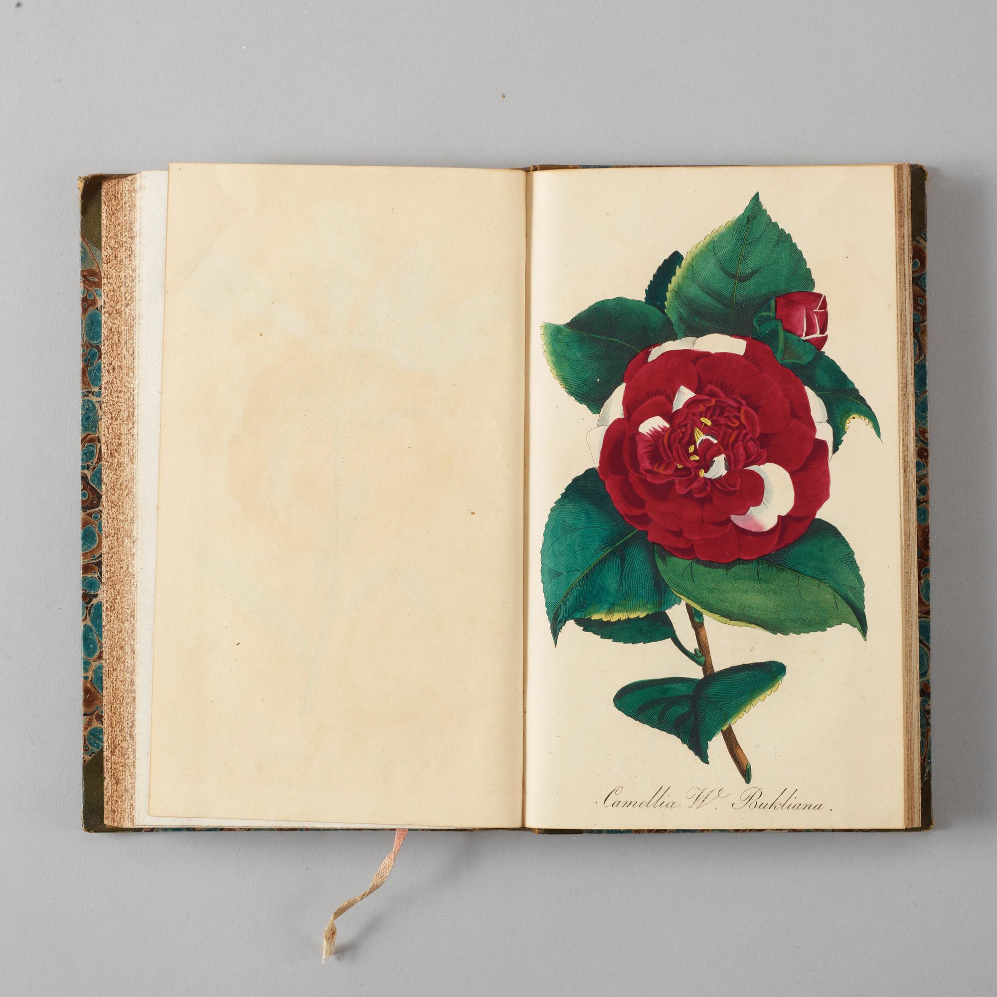 J. E. VON REIDER, Annalen Der Blumisterei für gartenbesitzer, Kunstgärtner, Saamenhändler und Blumenfreunde, 12 vol.