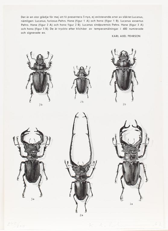 KARL AXEL PEHRSON, 17 st, litografier mm, signerade, daterade och numrerade.