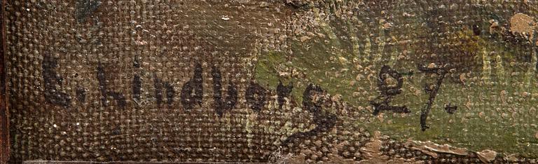 Edvin Lindborg, untitled.