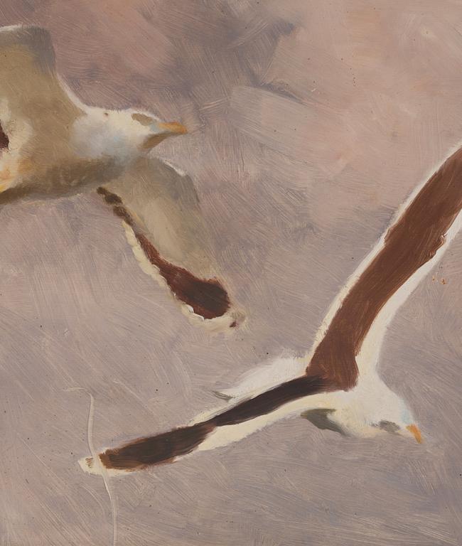 Bruno Liljefors, Flying seagulls.