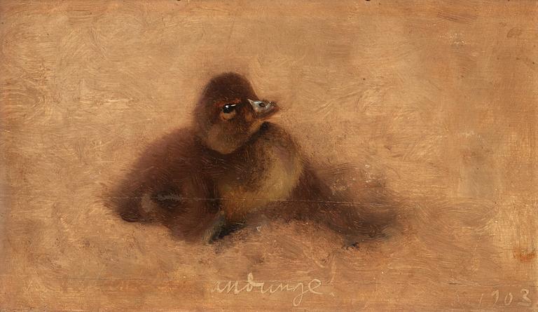 Bruno Liljefors, "Andunge" (Baby duck).
