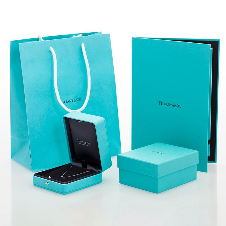 Tiffany & Co, Elsa Peretti, a platinum necklace, "Diamonds by the Yard' with a brilliant-cut diamond.