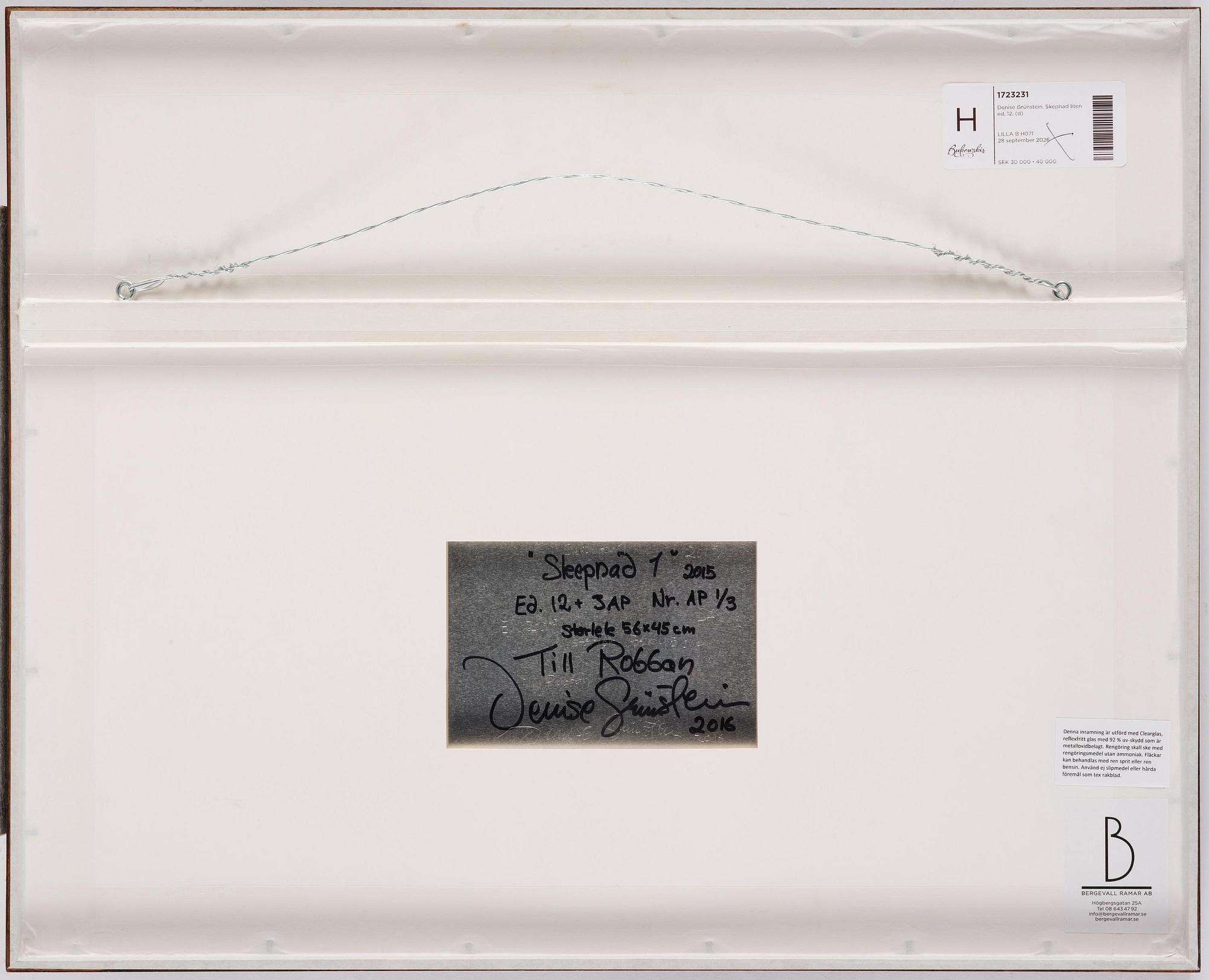 Denise Grünstein, "Skepnad", 2015.