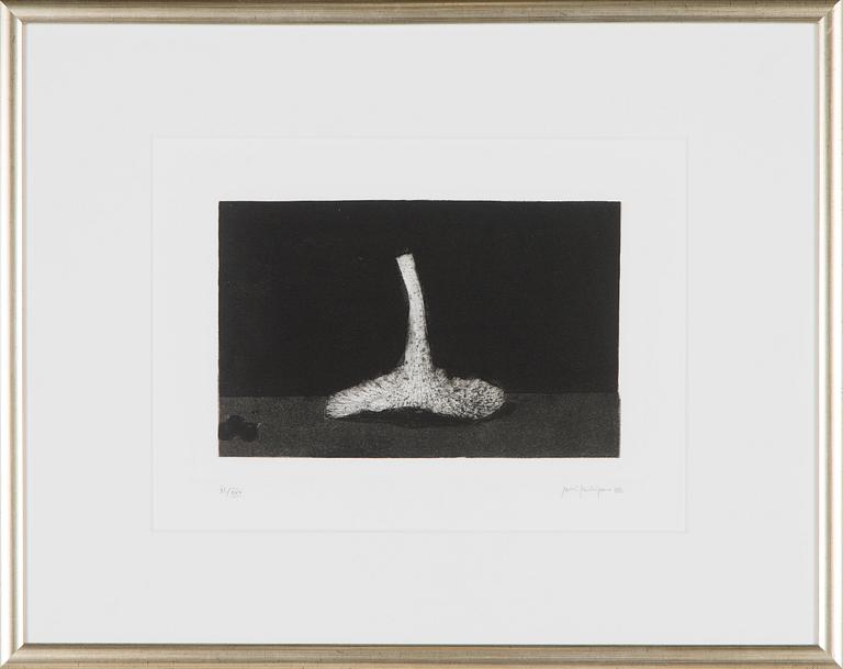 Pentti Kaskipuro, Mushroom.