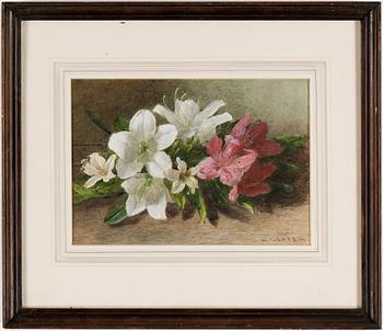 Charles Henry Slater · CHARLES HENRY SLATER, akvarell, signerad.