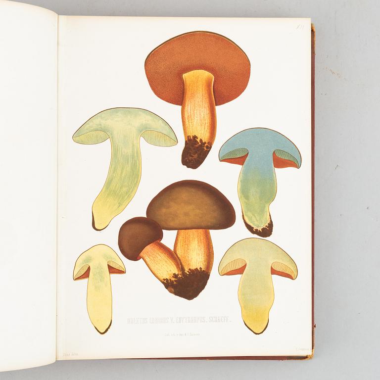 With 94 chromolithographs of mushrooms.