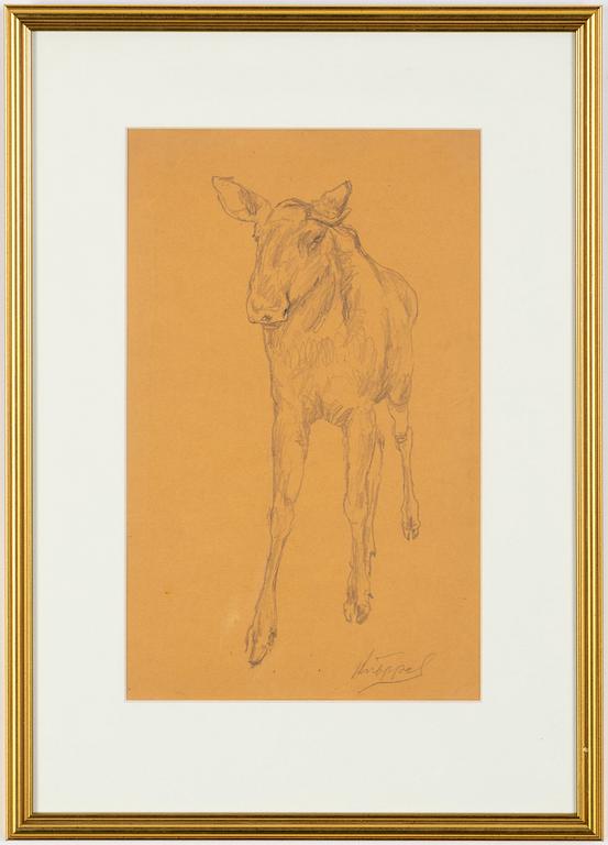 Arvid Knöppel, pencil drawing, signed.