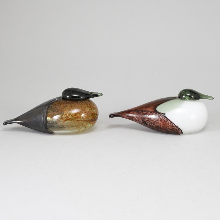 OIVA TOIKKA, två glasfåglar, Black Male and Female Eider (Haahka ja Haahkatar) 1986, signerade O. Toikka Nuutajärvi.