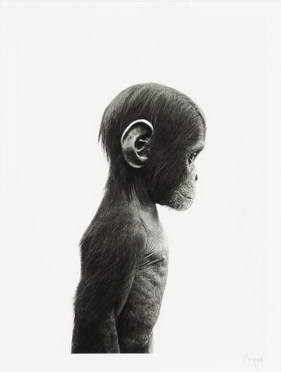 Ulf Rollof, Untitled, 2012.