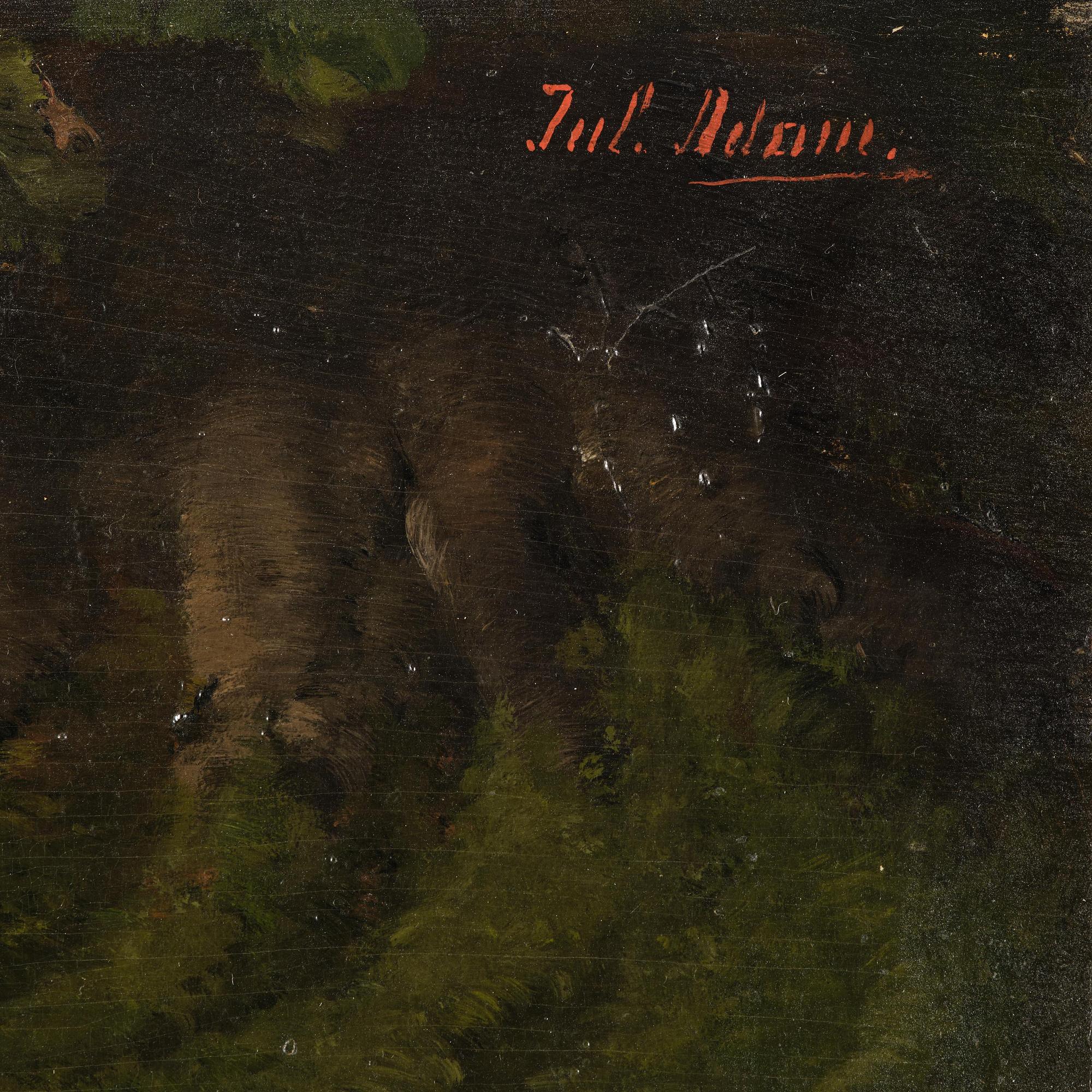 Julius II Adam, Kittens.