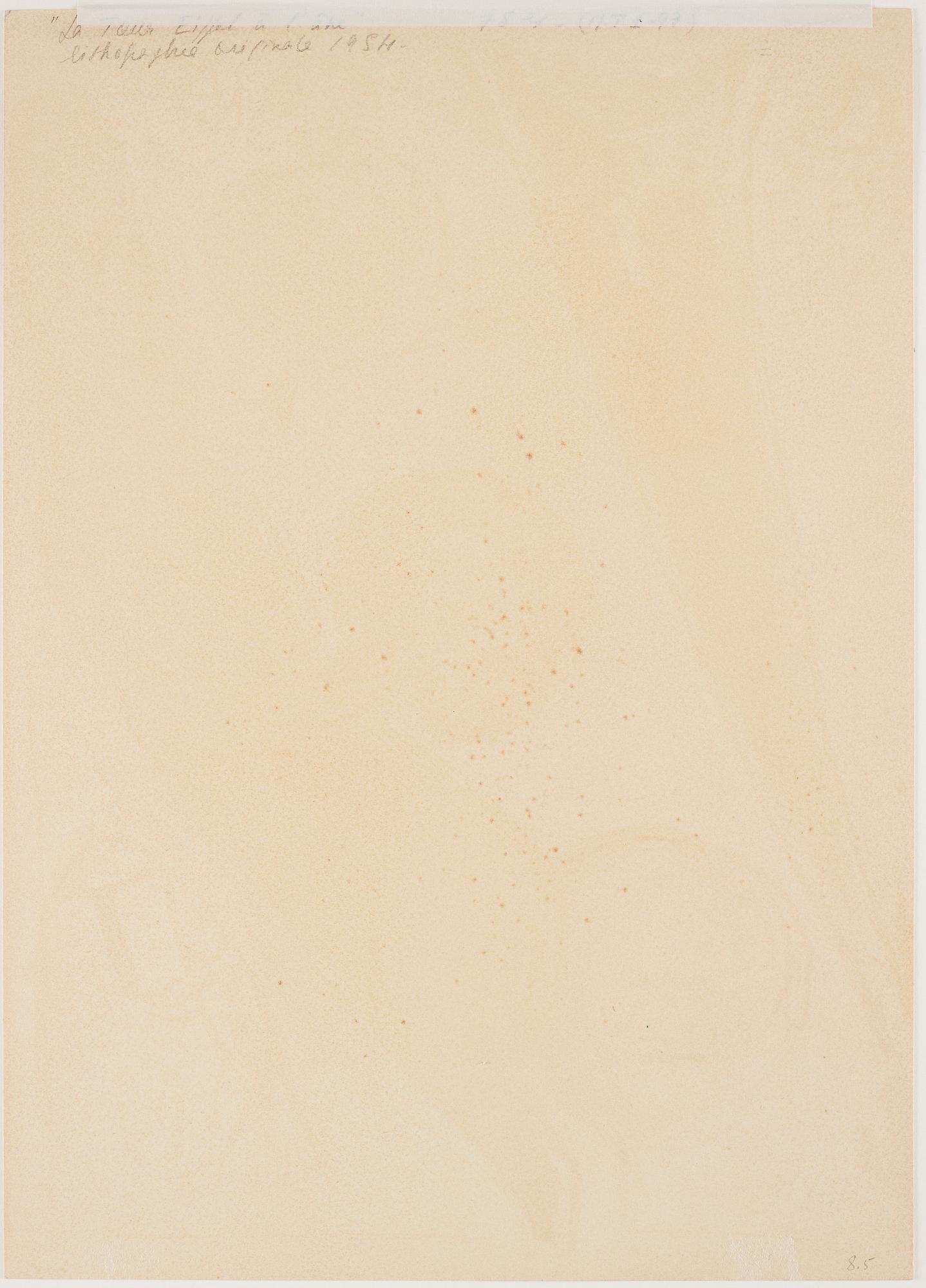 Marc Chagall, "La Tour Eiffel à l'âne".