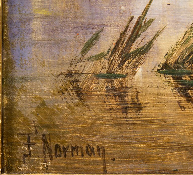 Unknown artist signed F Norman.
