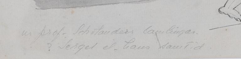 Carl August Ehrensvärd, Anikiserande figurscen.