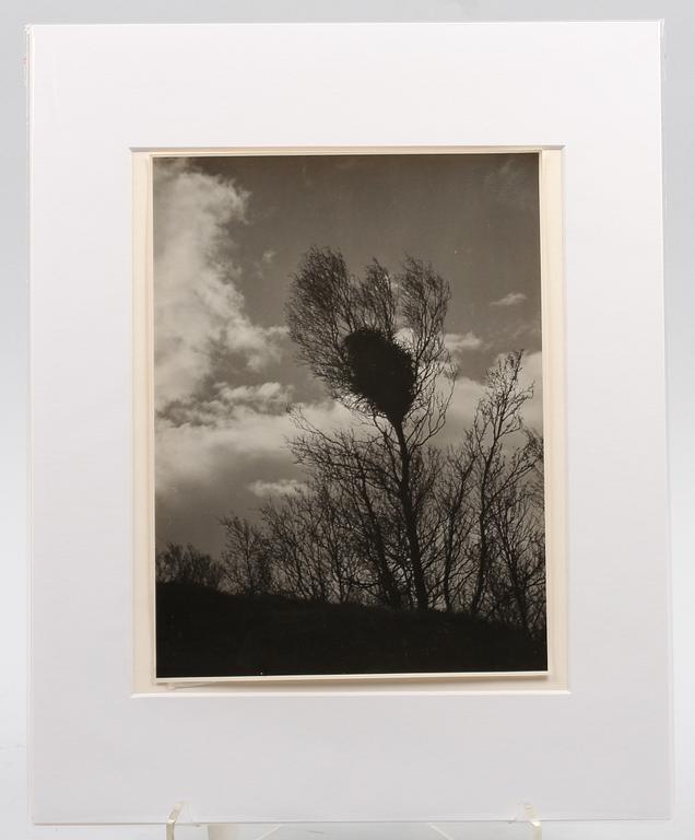 HEILBORN, EMIL. Fotografi. stämpelsign a tergo.