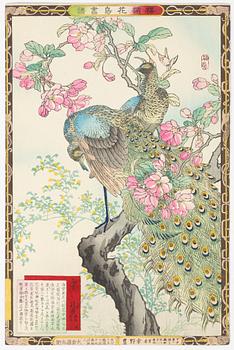 Kōno Bairei,