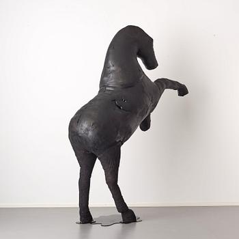 Linda Bäckström, "Black Beauty".