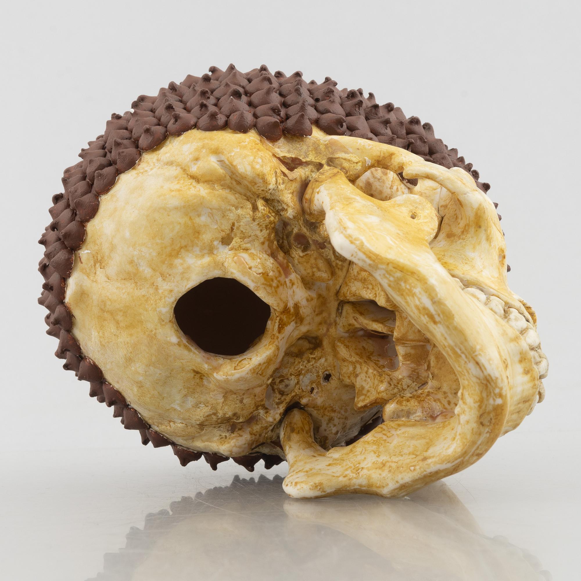 Rinaldo Frattolillo, "Damius Chocolatchipus".