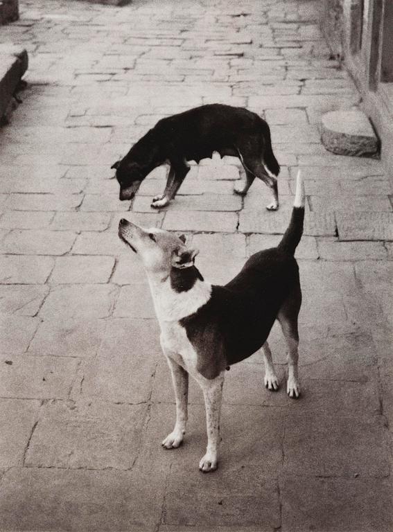 Pentti Sammallahti, "Swayambhunath, Nepal, 1994".