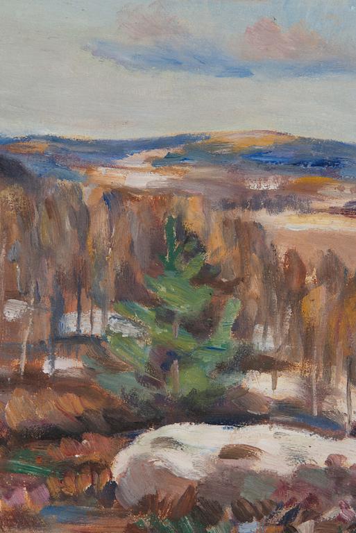 Janne Muusari, Maisema.