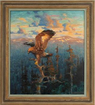 Thure Wallner, Eagle in sunset.