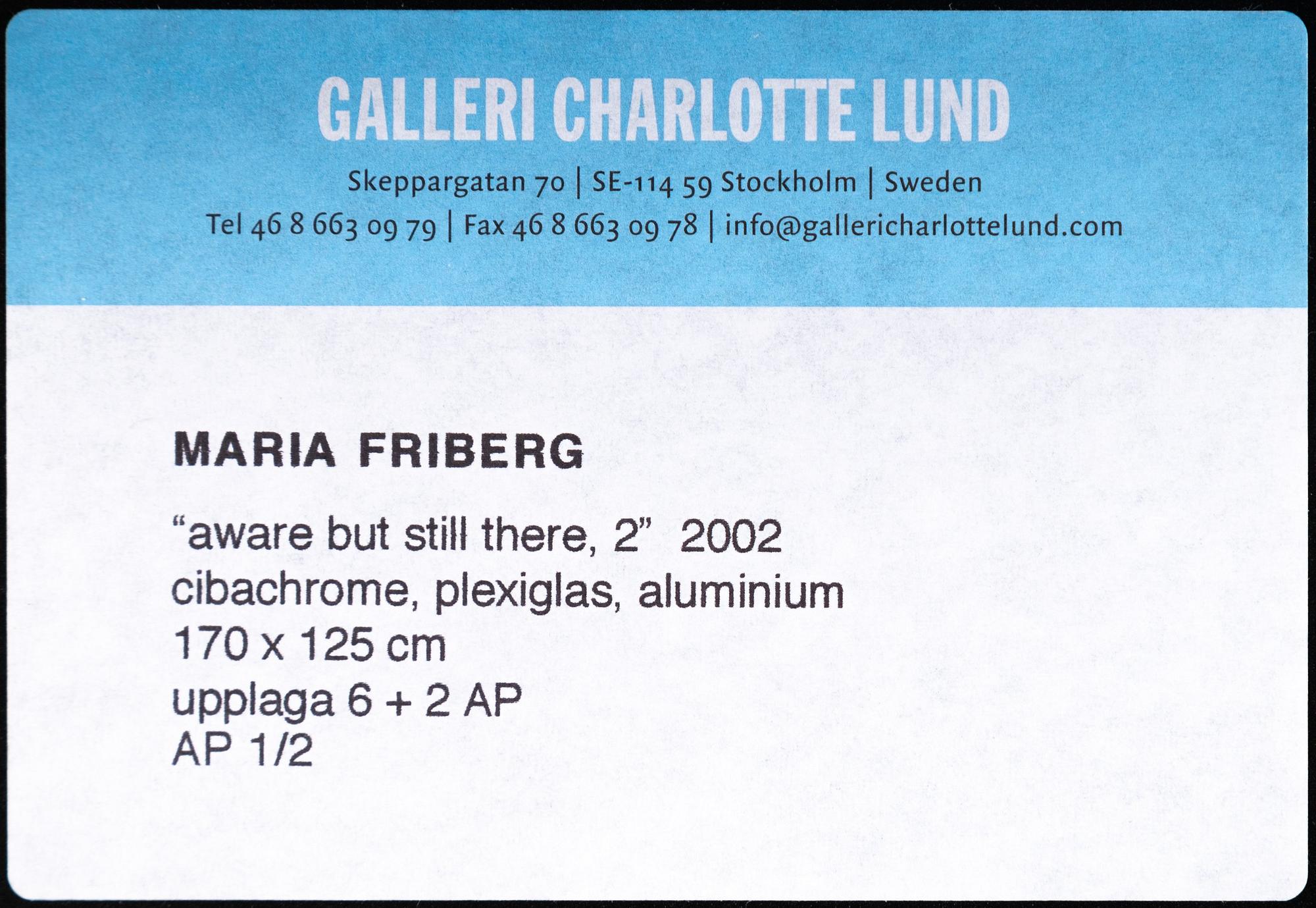 Maria Friberg, "Aware but still there 2", 2002.