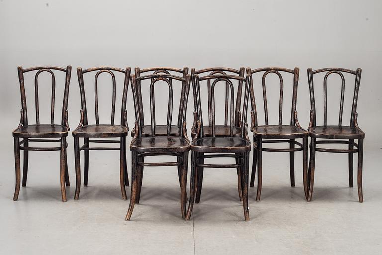 STOLAR, 6+2 st, bl a Cosmos, 1900-talets början, etikettmärkta.