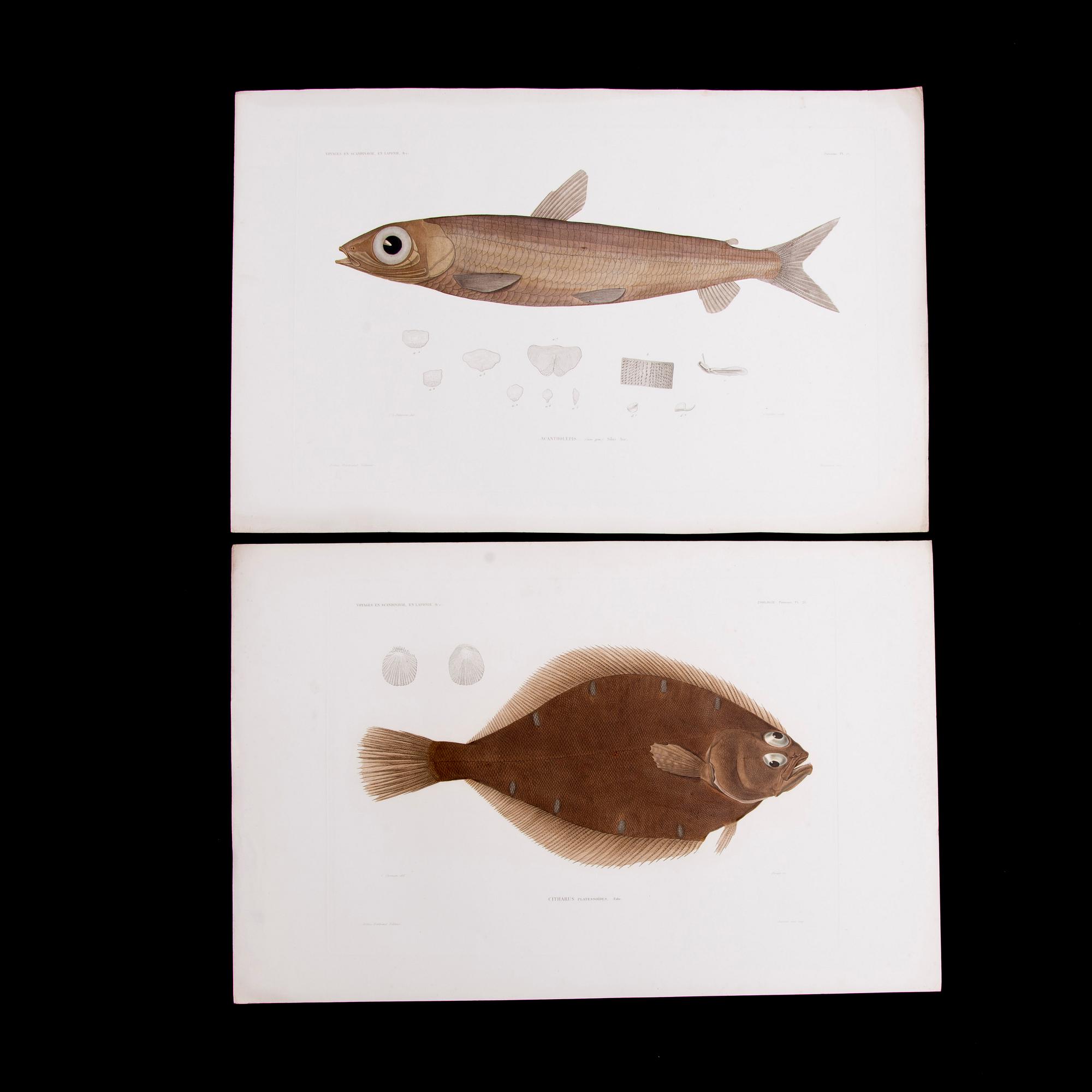 KROMOLITOGRAFIER, 20 st, 1800-talets första hälft.