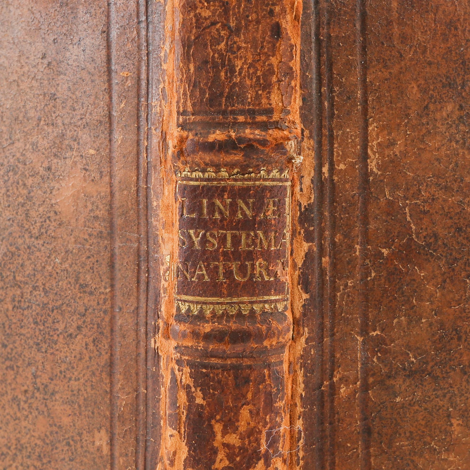 Carl von Linné, "Systema Naturae..." ,1748.