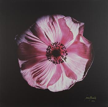 Lennart Bernadotte, Blomma.