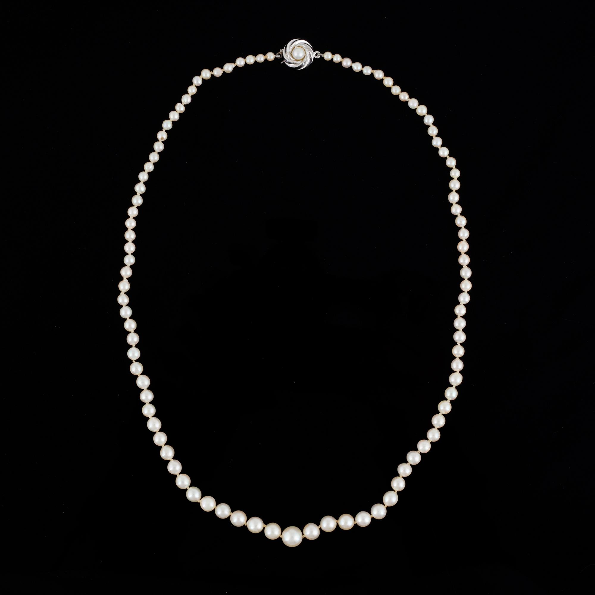 PÄRLCOLLIER, med odlade doserade pärlor.