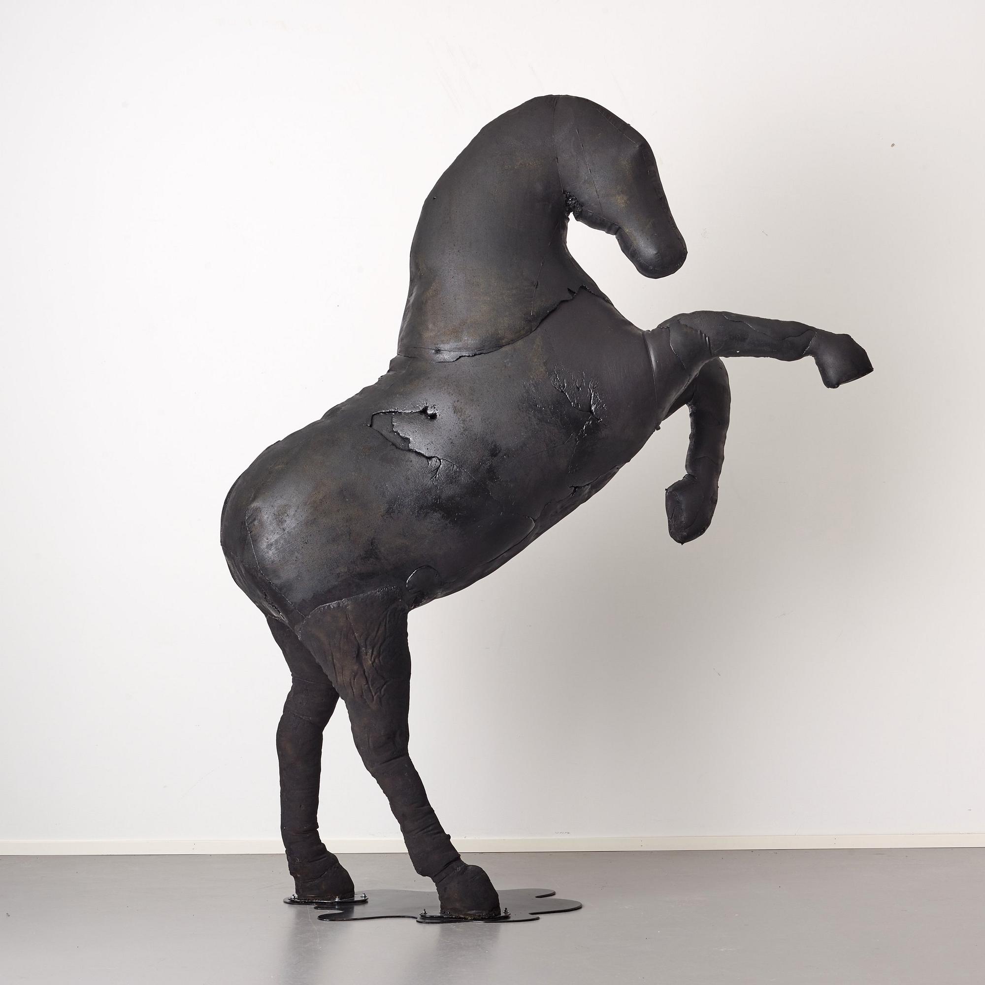 Linda Bäckström, "Black Beauty".