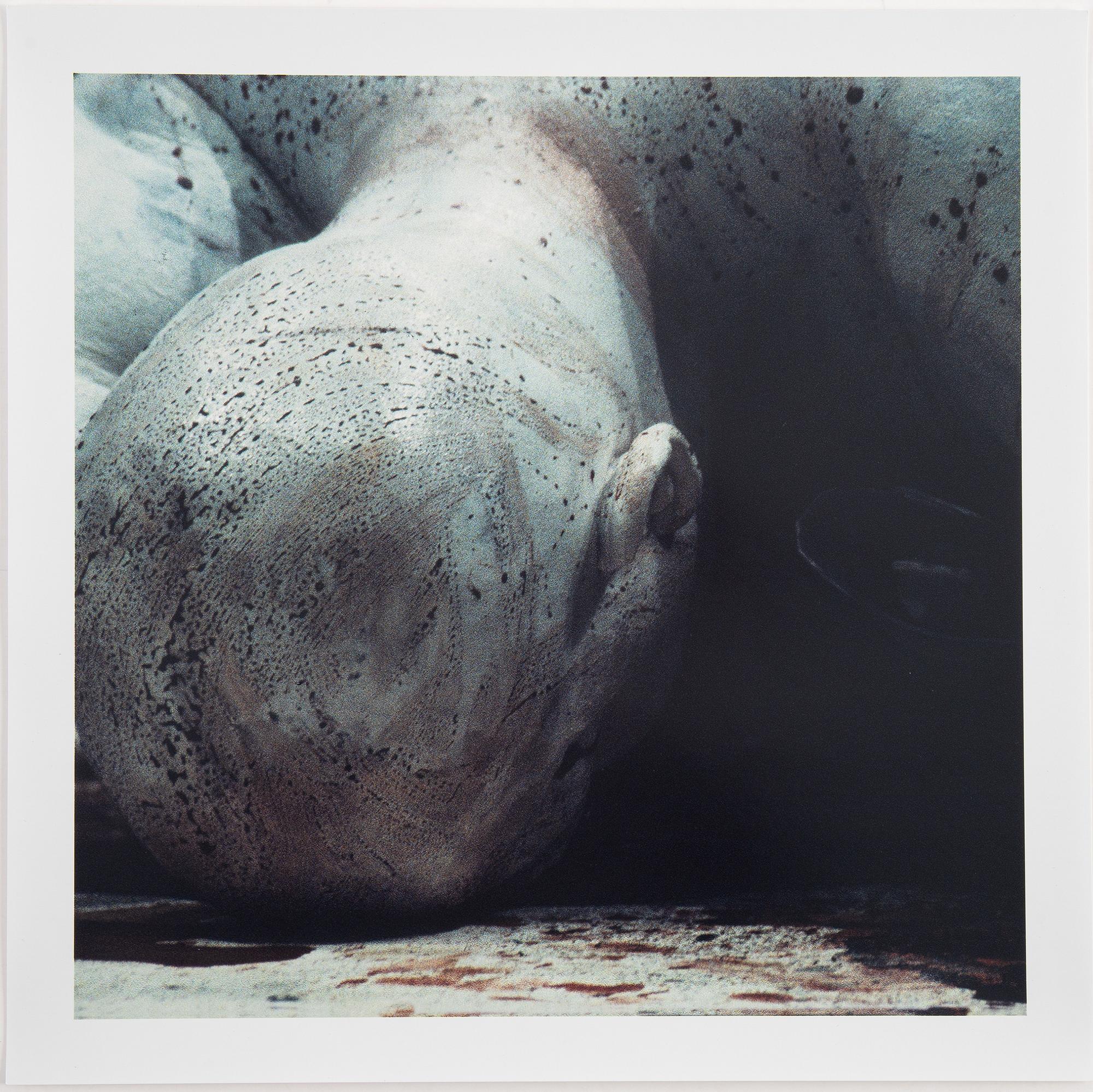 Franko B, complete boxed set with 10 prints by Franko B and text by Francesca Alfano Miglietto.