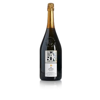 2002 Cuvée Special Les Chétillons, Pierre Peters (Magnum).