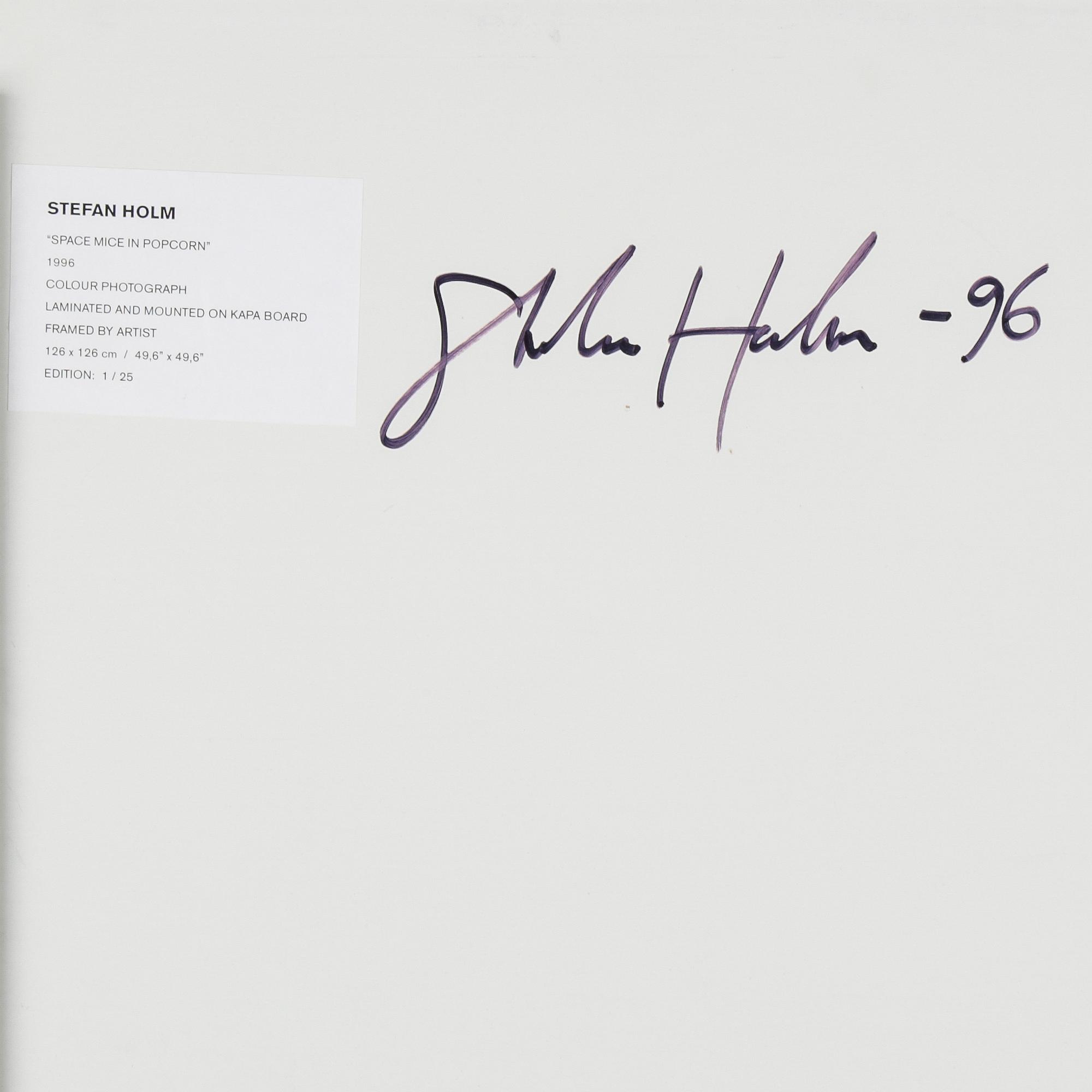 STEFAN HOLM, fotografi, signerat och daterat -96 samt numrerat 1/25 a tergo.