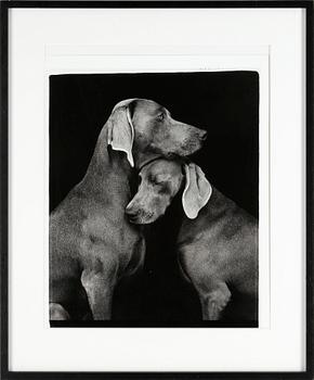 William Wegman · WILLIAM WEGMAN, fotografi, "Friends"