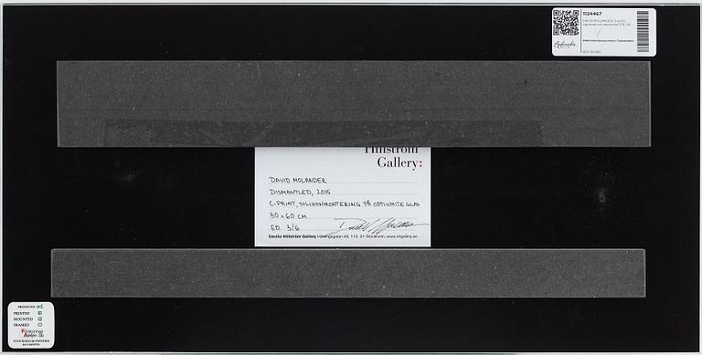 DAVID MOLANDER, C-print, signerad och numrerad 3/6.