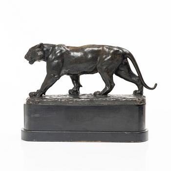 Johan Axel Wetterlund, Tiger.