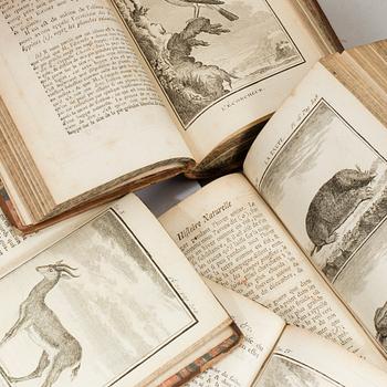 A set of 19 1700s books.