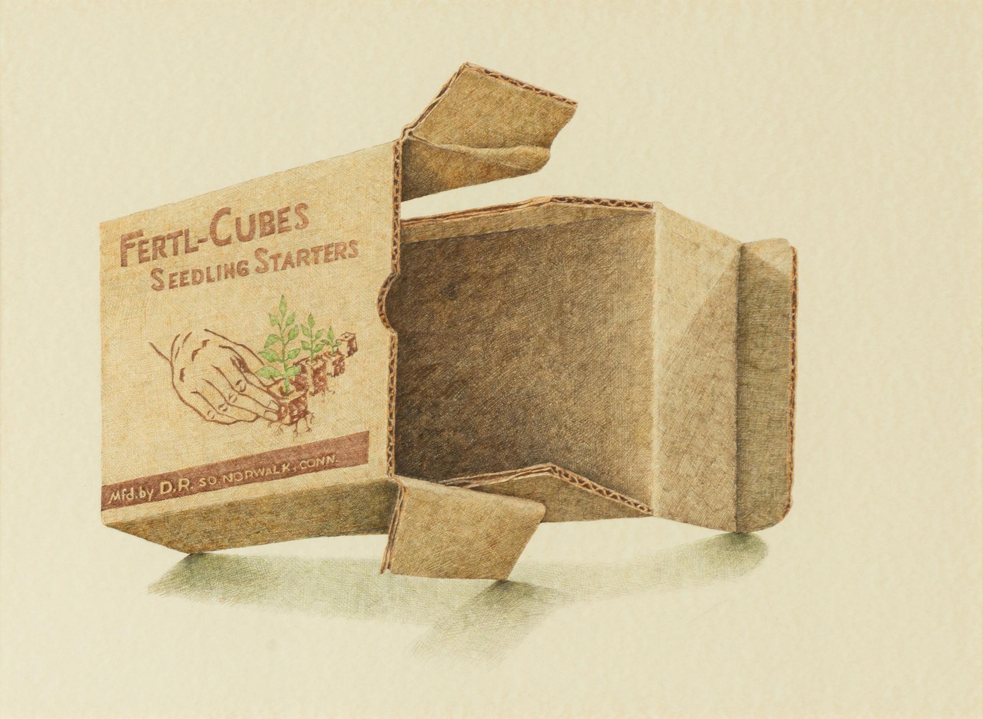 Dalia Ramanauskas, "Fertl-cubes Carton".